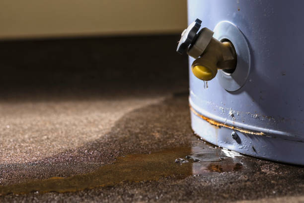 Best Flooded house restoration  in Pioneer, OH
