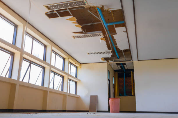 Best Mold removal after water damage  in Pioneer, OH