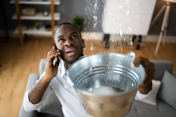 Best Water damage mitigation services  in Pioneer, OH