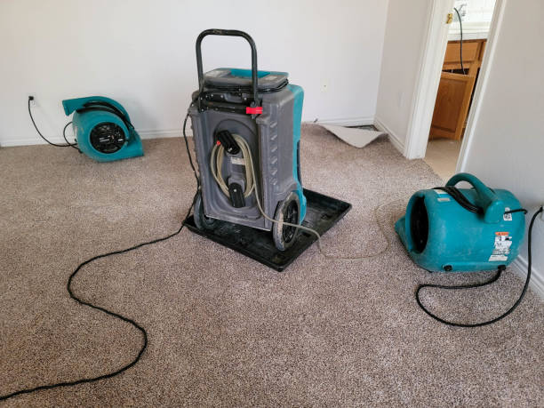 Best Carpet water damage restoration  in Pioneer, OH