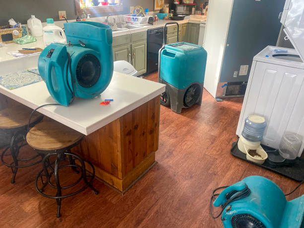 Best Water damage contractors near me  in Pioneer, OH