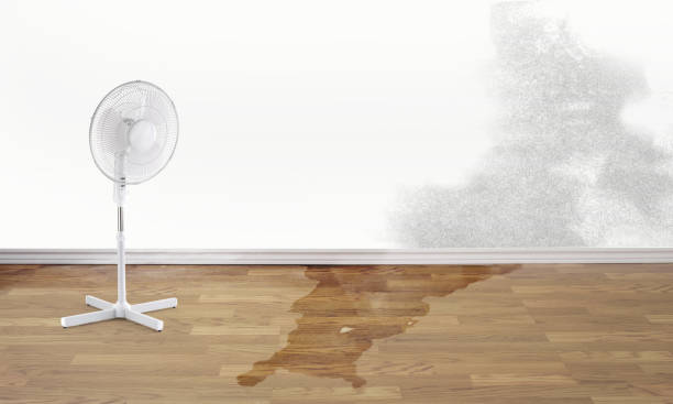 Best Fire Damage Restoration  in Pioneer, OH