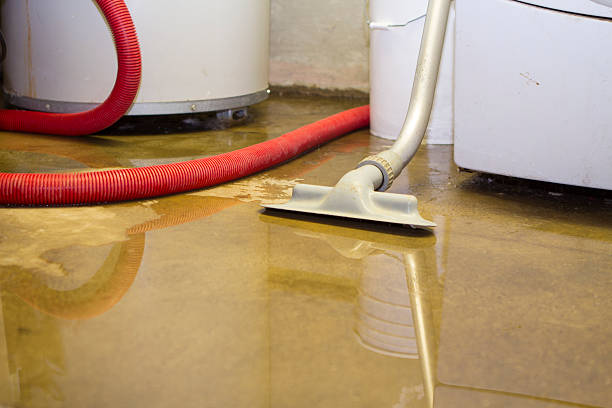 Best Mold removal after water damage  in Pioneer, OH