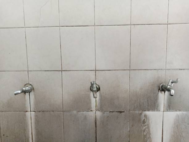 Best Ceiling water damage repair  in Pioneer, OH
