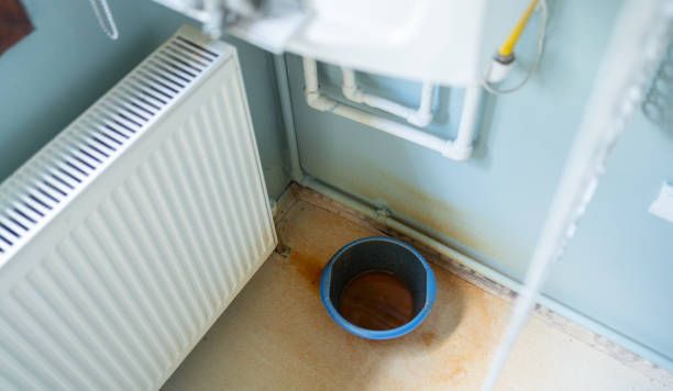 Best Professional water damage repair  in Pioneer, OH