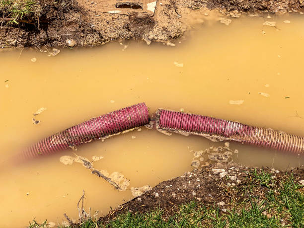 Best Water damage restoration near me  in Pioneer, OH