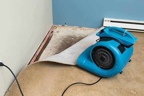 Best 24/7 water damage repair  in Pioneer, OH